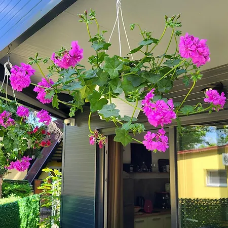 Dream Semesterbostad *